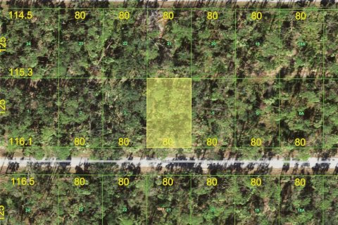Land in Port Charlotte, Florida № 2161384 - photo 4