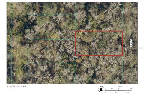 Land in Belleview, Florida № 2161179