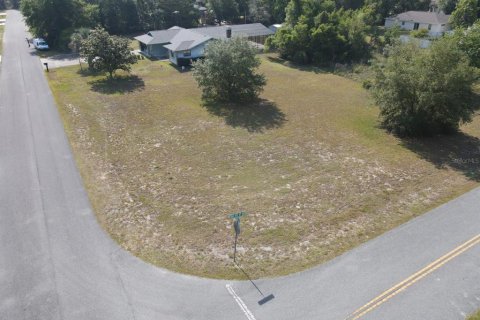 Land in Ocala, Florida № 1687811 - photo 1