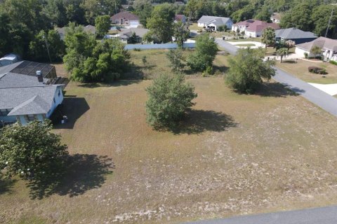 Land in Ocala, Florida № 1687811 - photo 3