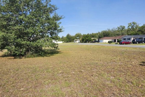 Land in Ocala, Florida № 1687811 - photo 4