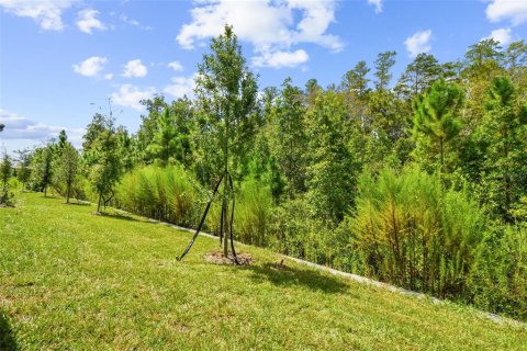 House in Land O' Lakes, Florida 2 bedrooms, 156.45 sq.m. № 1914476 - photo 8