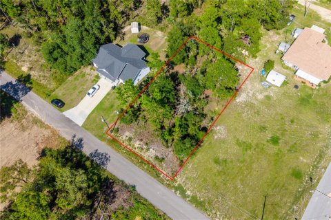 Land in Williston, Florida № 2351508