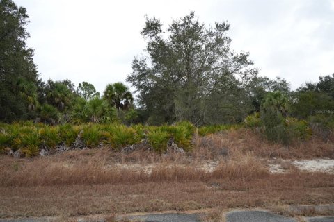 Land in North Port, Florida № 2162935 - photo 2