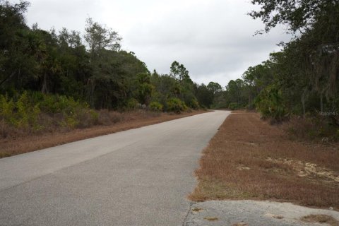 Land in North Port, Florida № 2162935 - photo 6