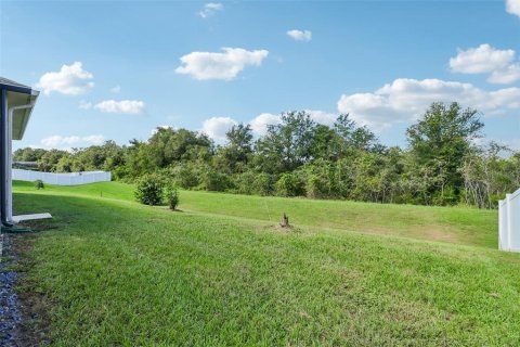 Villa ou maison à vendre à Groveland, Floride: 4 chambres, 261.06 m2 № 2427453 - photo 28