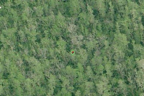 Land in Orlando, Florida № 2219149 - photo 3