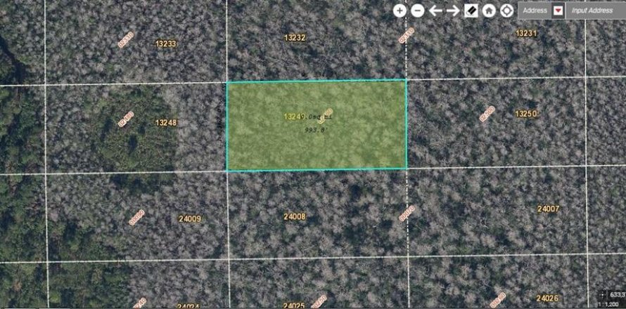 Land in Orlando, Florida № 2219149