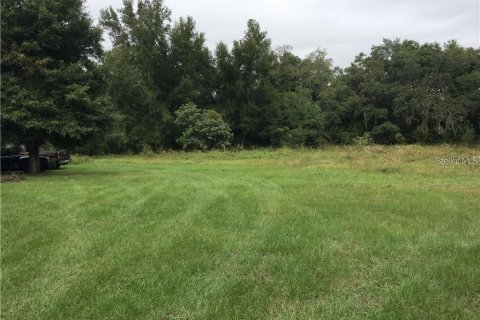 Land in Winter Park, Florida № 2350073