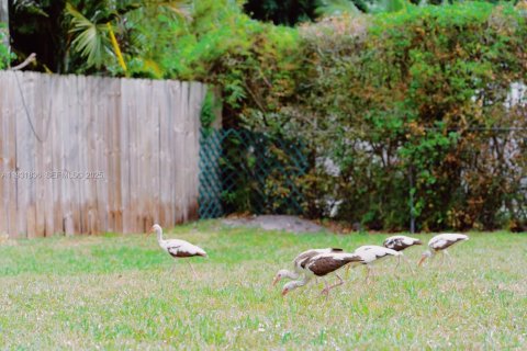 Снять в аренду виллу или дом в Бискейн-Парк, Флорида 3 спальни, 75.81м2, № 1990209 - фото 9