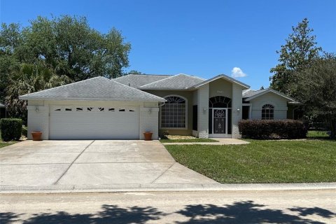 Villa ou maison à vendre à Weeki Wachee, Floride: 3 chambres, 220.55 m2 № 1725586 - photo 2