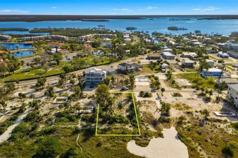 Land in Fort Myers Beach, Florida № 1870649 - photo 17