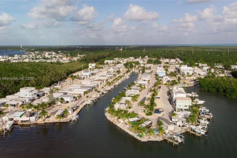 Land in Key Largo, Florida № 1868053 - photo 11