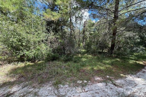 Terrain à vendre à Williston, Floride № 2233094 - photo 8