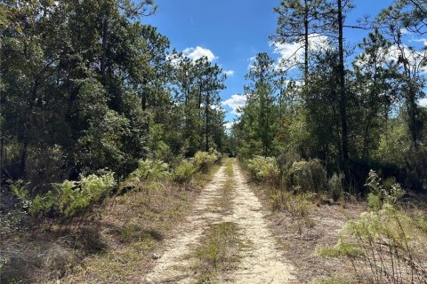 Terrain à vendre à Williston, Floride № 2233094 - photo 5