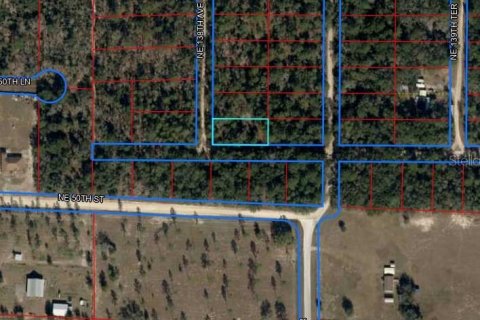 Terrain à vendre à Williston, Floride № 2233094 - photo 4