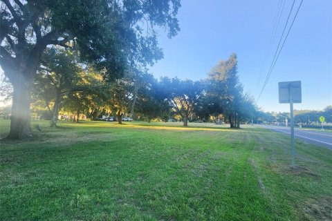 Commercial property in Altoona, Florida № 2211665 - photo 6