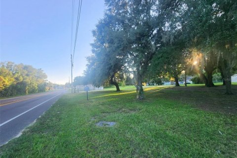 Commercial property in Altoona, Florida № 2211665 - photo 4