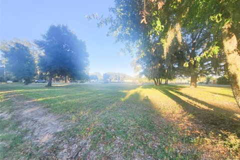 Commercial property in Altoona, Florida № 2211665 - photo 18