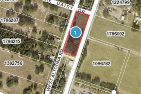 Commercial property in Altoona, Florida № 2211665 - photo 11