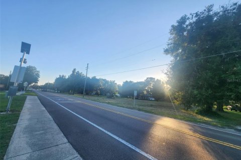 Commercial property in Altoona, Florida № 2211665
