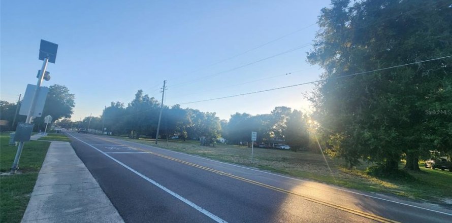 Commercial property in Altoona, Florida № 2211665