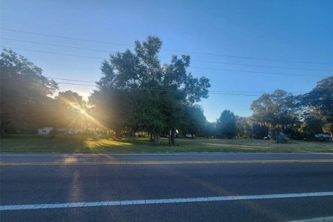 Commercial property in Altoona, Florida № 2211665 - photo 10