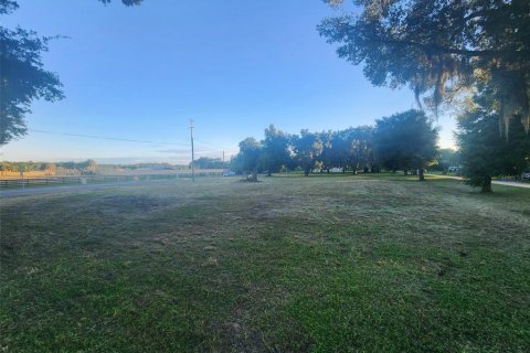 Commercial property in Altoona, Florida № 2211665 - photo 20