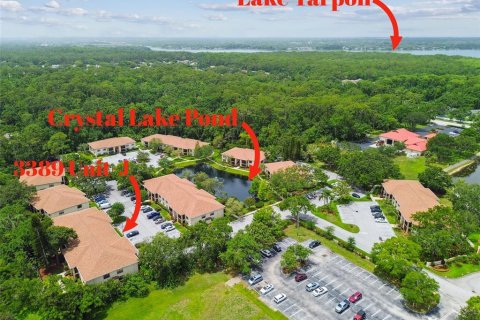 Copropriété à vendre à Palm Harbor, Floride: 2 chambres, 99.41 m2 № 1773887 - photo 25