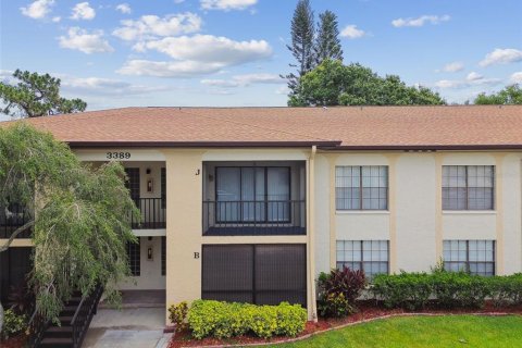 Copropriété à vendre à Palm Harbor, Floride: 2 chambres, 99.41 m2 № 1773887 - photo 1
