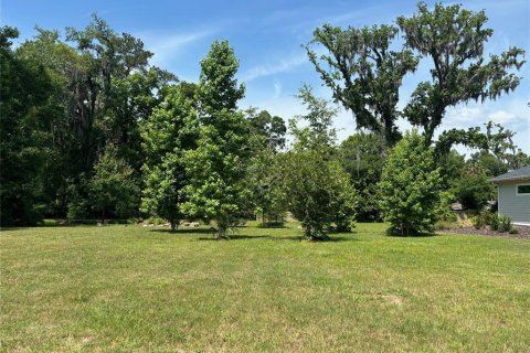 Land in Gainesville, Florida № 1169358 - photo 7