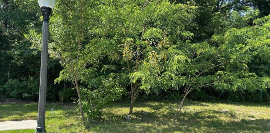 Terreno en Gainesville, Florida № 1169358