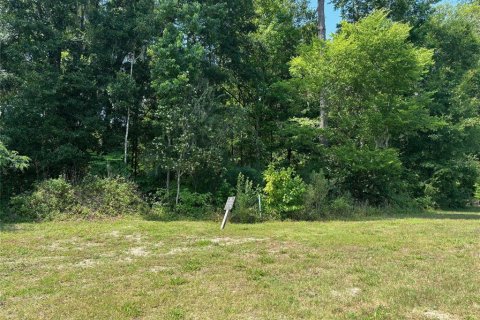 Terrain à vendre à Gainesville, Floride № 1169358 - photo 5