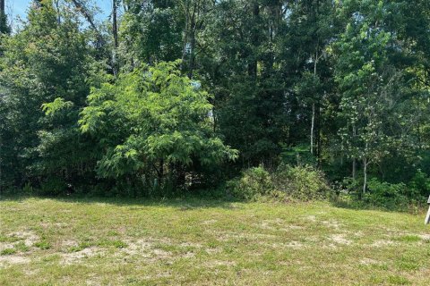 Terreno en venta en Gainesville, Florida № 1169358 - foto 6