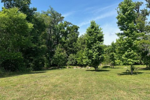 Terreno en venta en Gainesville, Florida № 1169358 - foto 4