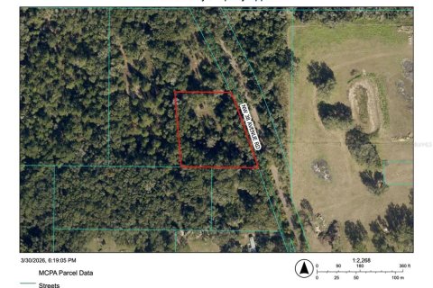 Terreno en Ocala, Florida № 2103093