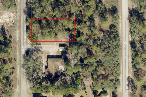 Land in Dunnellon, Florida № 2162079