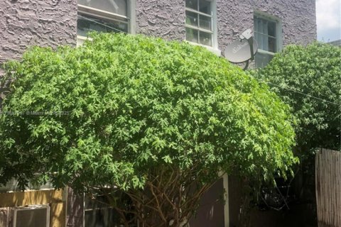 Commercial property in Miami, Florida 474.36 sq.m. № 1883839 - photo 6