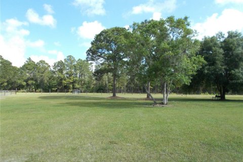House in North Port, Florida 3 bedrooms, 202.62 sq.m. № 2215059 - photo 3