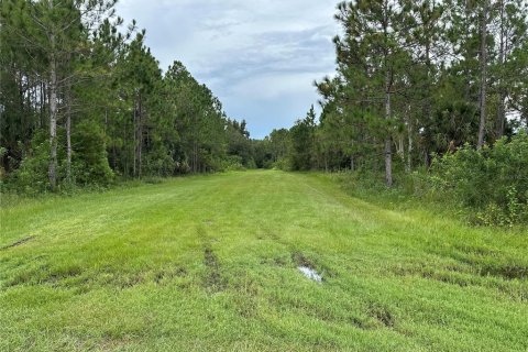 Land in Indian lake estates, Florida № 2227515