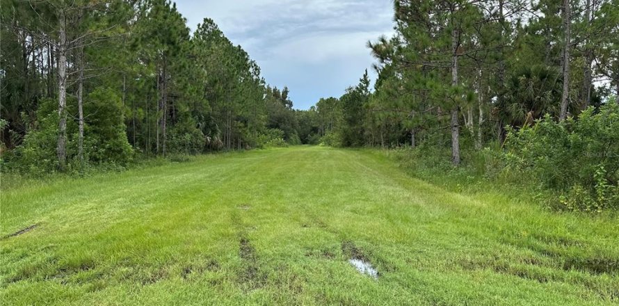 Land in Indian lake estates, Florida № 2227515