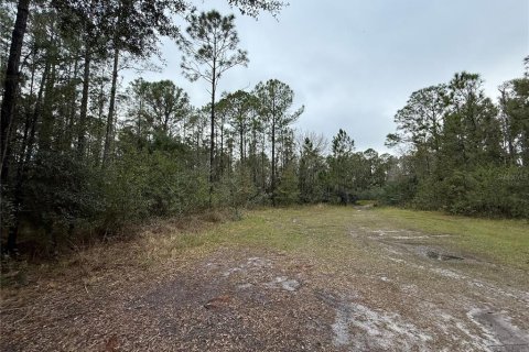Land in Indian lake estates, Florida № 2227515 - photo 8