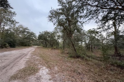 Land in Indian lake estates, Florida № 2227515 - photo 6