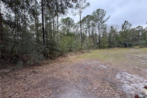Land in Indian lake estates, Florida № 2227515 - photo 4