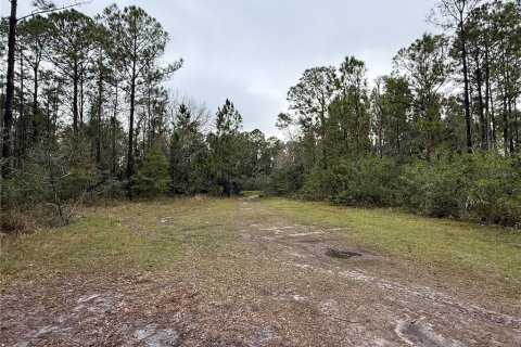 Land in Indian lake estates, Florida № 2227515 - photo 5