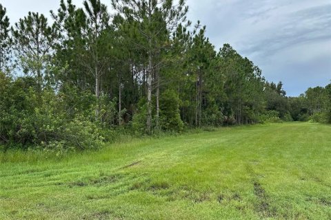 Land in Indian lake estates, Florida № 2227515 - photo 2