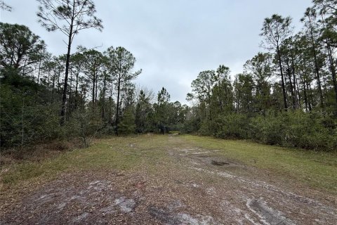Land in Indian lake estates, Florida № 2227515 - photo 3