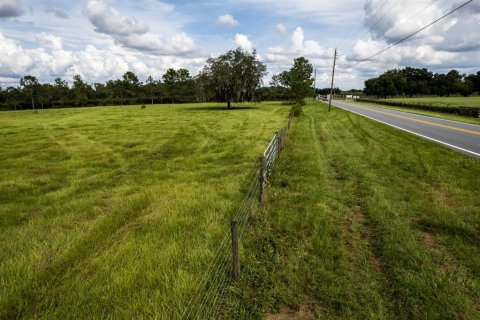 Terrain à vendre à Mount Dora, Floride № 1635000 - photo 4