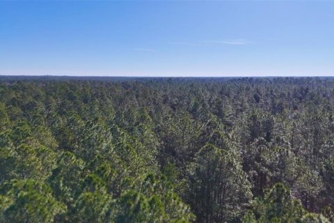Land in New Smyrna Beach, Florida № 1522688 - photo 6