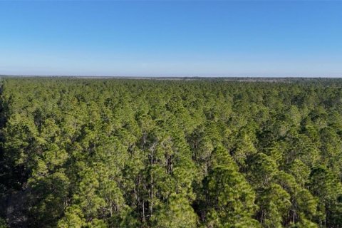 Land in New Smyrna Beach, Florida № 1522688 - photo 3